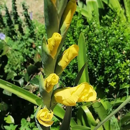 Hébergement de vacances Ademaj *