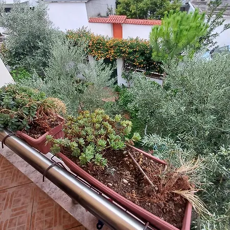 Ademaj بيت للعطل