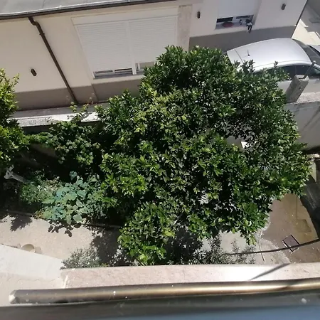 Near Historical Center Vlorë