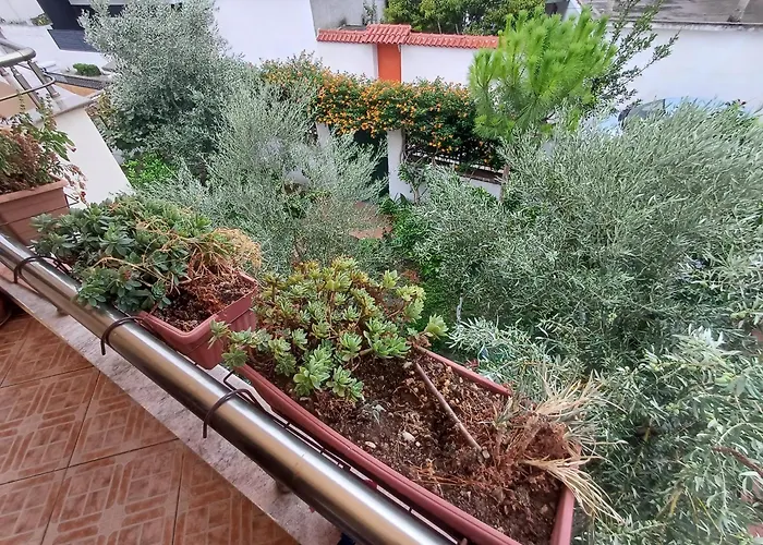 Ademaj Dom wakacyjny